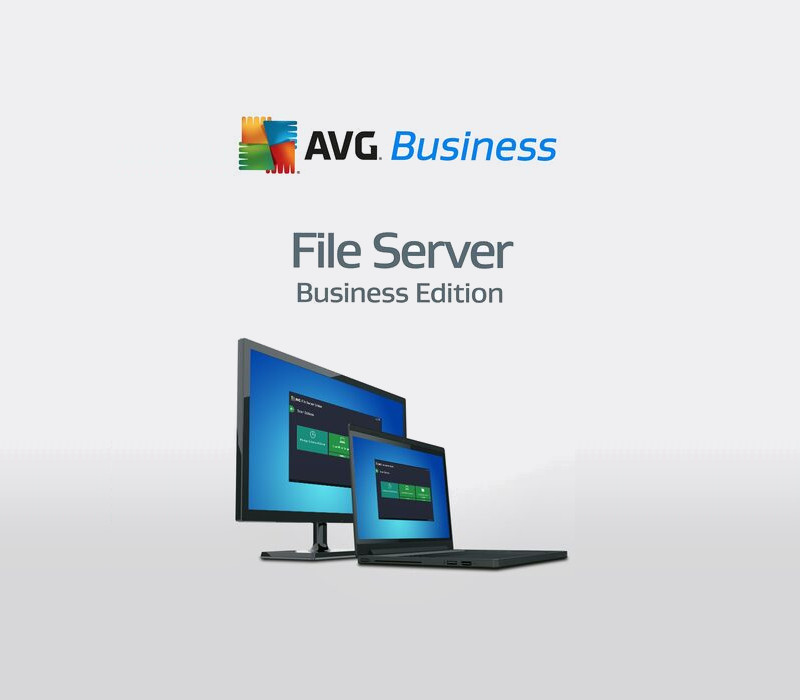 AVG File Server Business Edition Key (2 Years / 1 Device)
