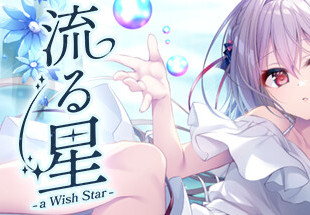 流る星 -a wish star- PC Steam Account screenshot 1