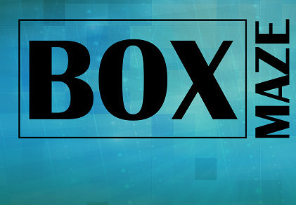 Box Maze PC Steam CD Key screenshot 2