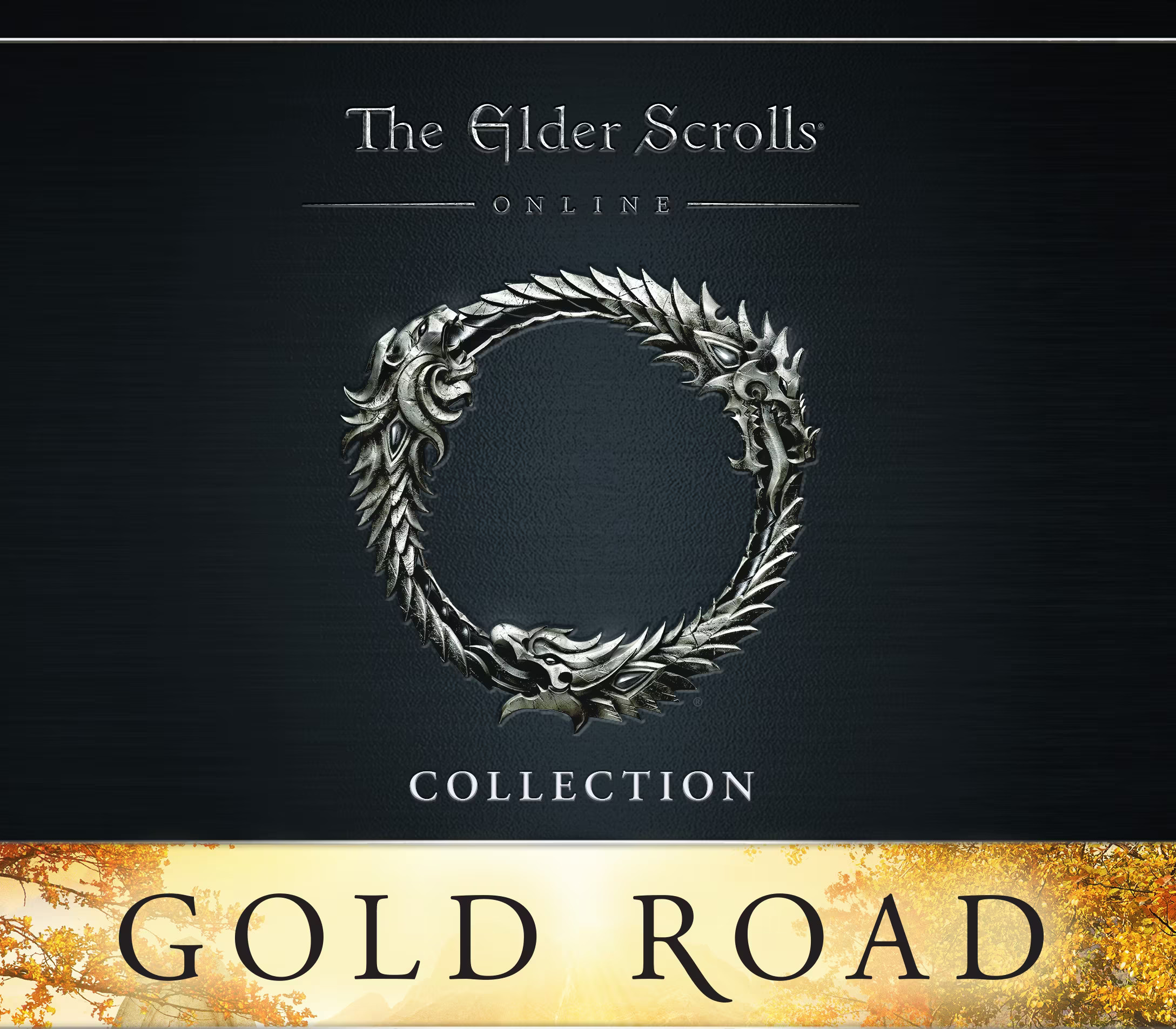 The Elder Scrolls Online Collection: Gold Road PS4 Account