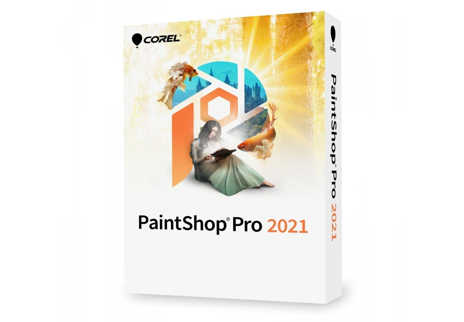 Corel PaintShop Pro 2021 CD Key screenshot 1