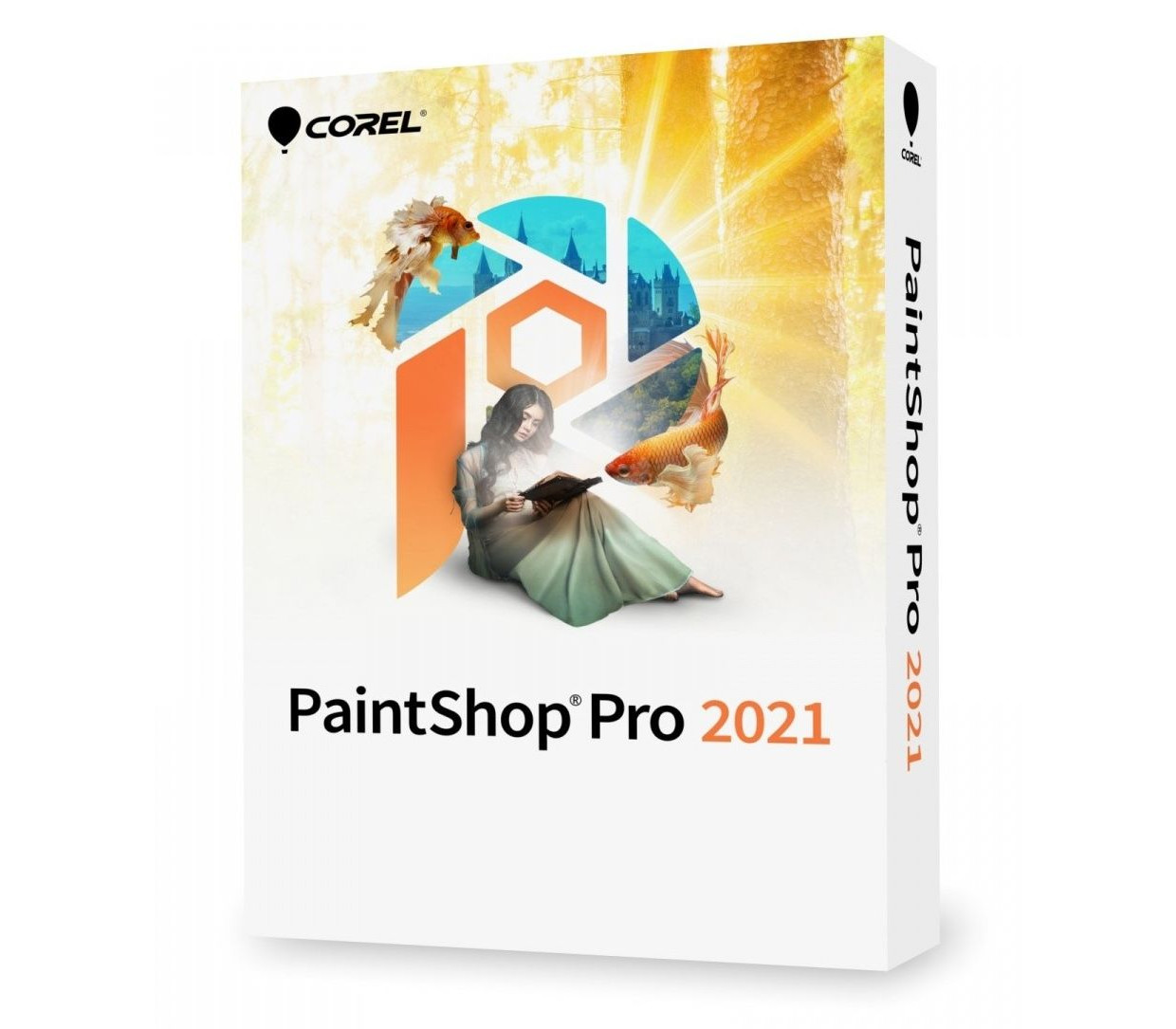 

Corel PaintShop Pro 2021 CD Key