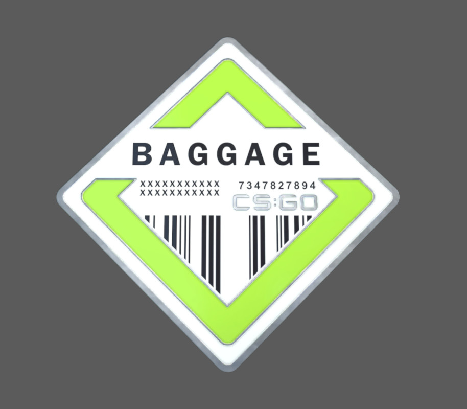 

CS:GO - Series 2 - Baggage Collectible Pin