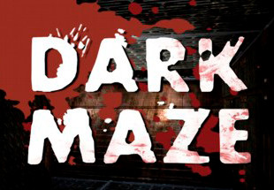 Dark Maze PC Steam CD Key screenshot 1