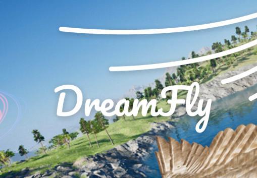 DreamFly VR Steam CD Key