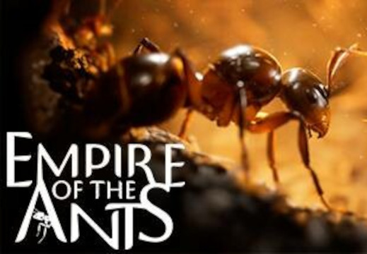 Empire of the Ants PC Steam CD Key