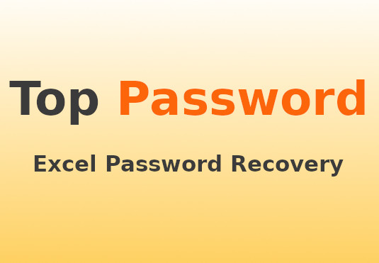 Excel Password Recovery Key (Lifetime / 1 PC)