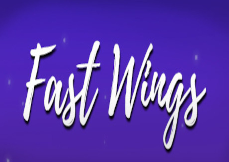 Fast Wings Steam CD Key