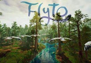 Flyto Steam CD Key