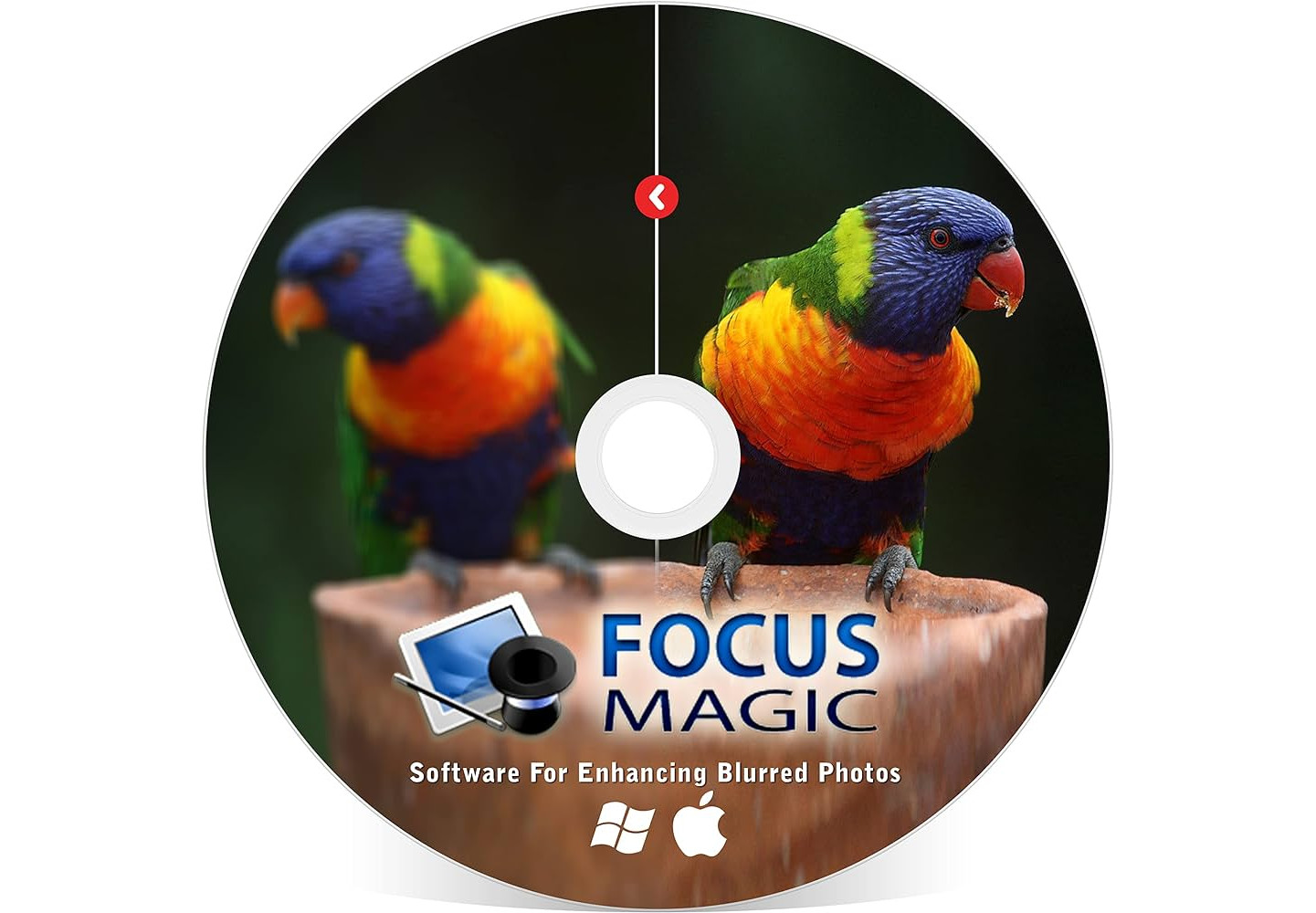 Focus Magic 6 PC CD Key screenshot 1