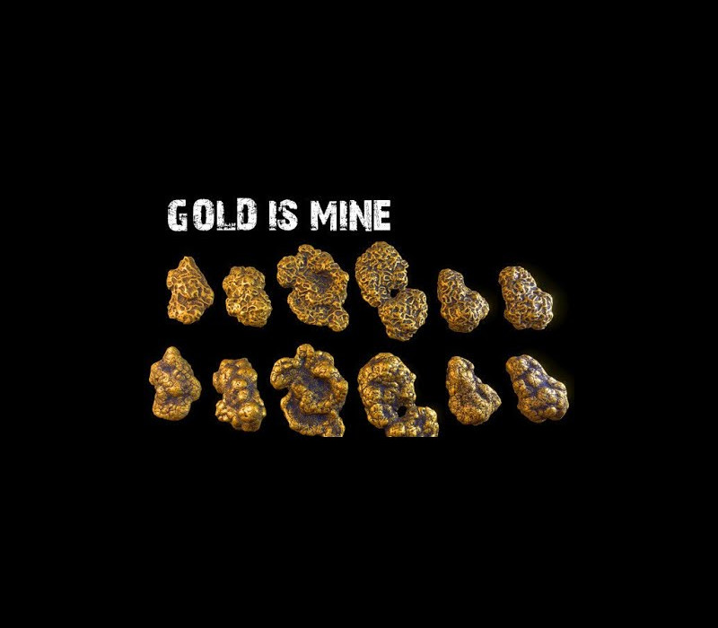 GOLD IS MINE Steam CD Key