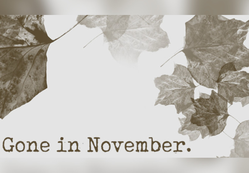 Gone In November - Collector's Edition Content DLC Steam CD Key screenshot 1
