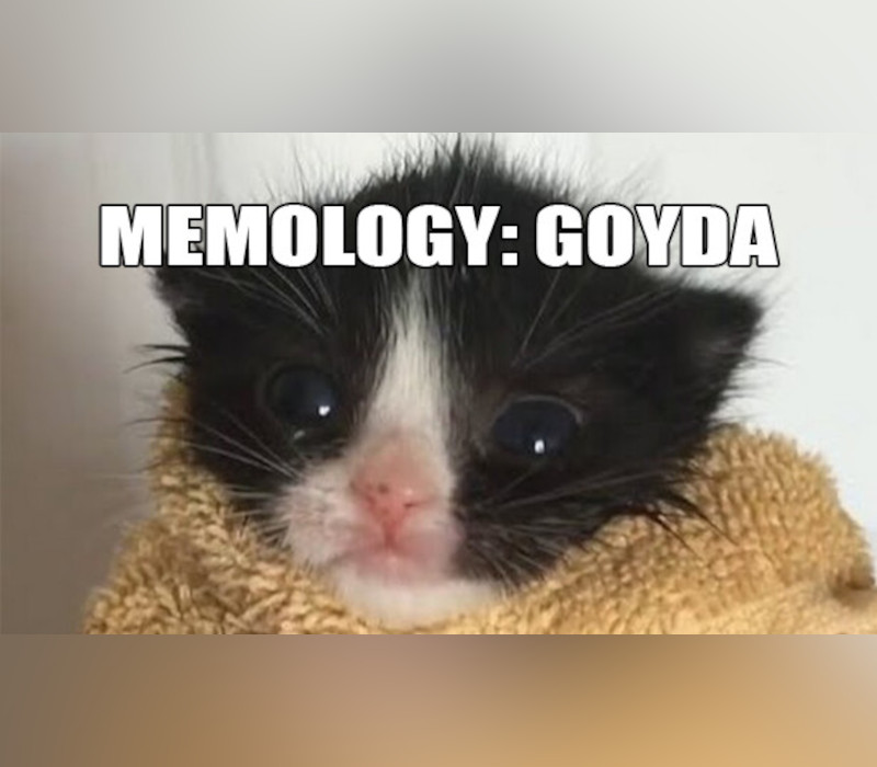 

MEMOLOGY: GOYDA PC Steam CD Key