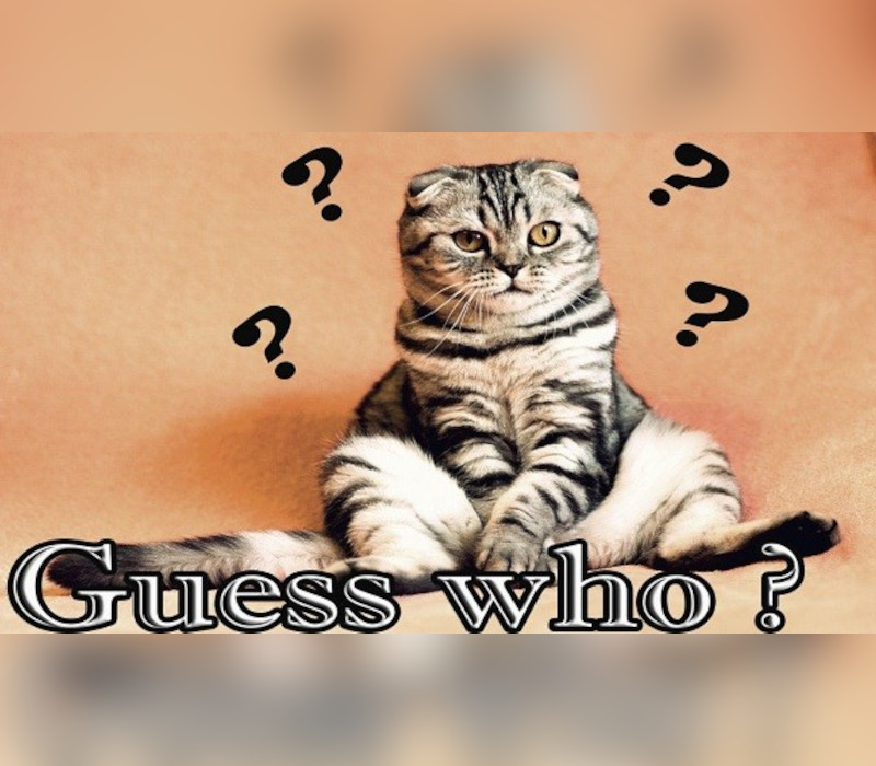 Guess Who ? PC Steam CD Key