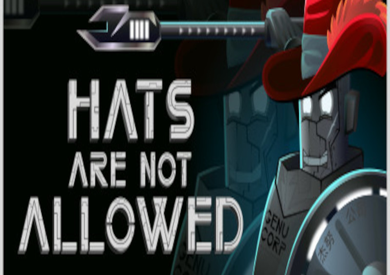 Hats Are Not Allowed Steam CD Key