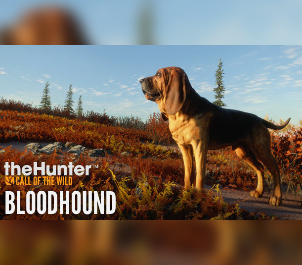 theHunter: Call of the Wild - Bloodhound DLC EU PC Steam CD Key