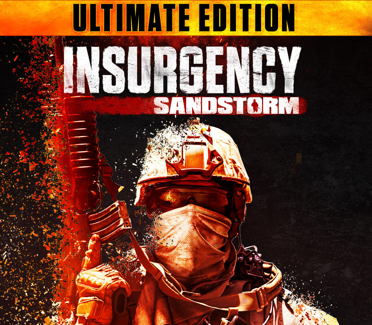 Insurgency: Sandstorm Ultimate Edition XBOX One / Xbox Series X|S Account