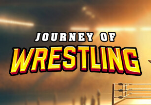 Journey of Wrestling PC Steam Account screenshot 2