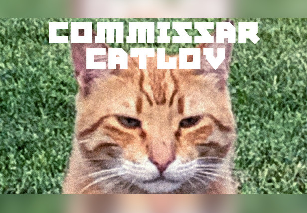 Commissar Catlov Steam CD Key
