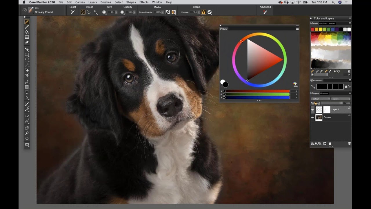 Corel Painter 2020 CD Key (Lifetime / 1 Device)