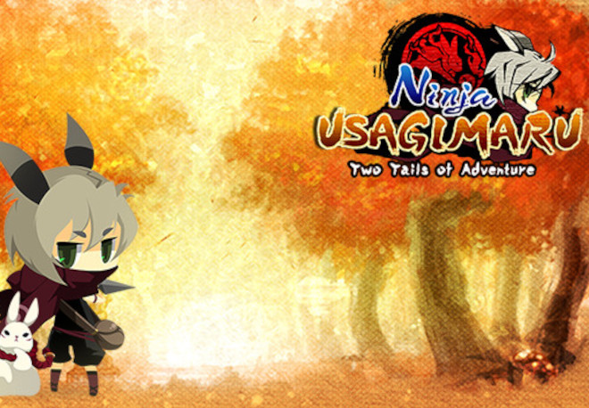 Ninja Usagimaru: Two Tails Of Adventure Steam CD Key