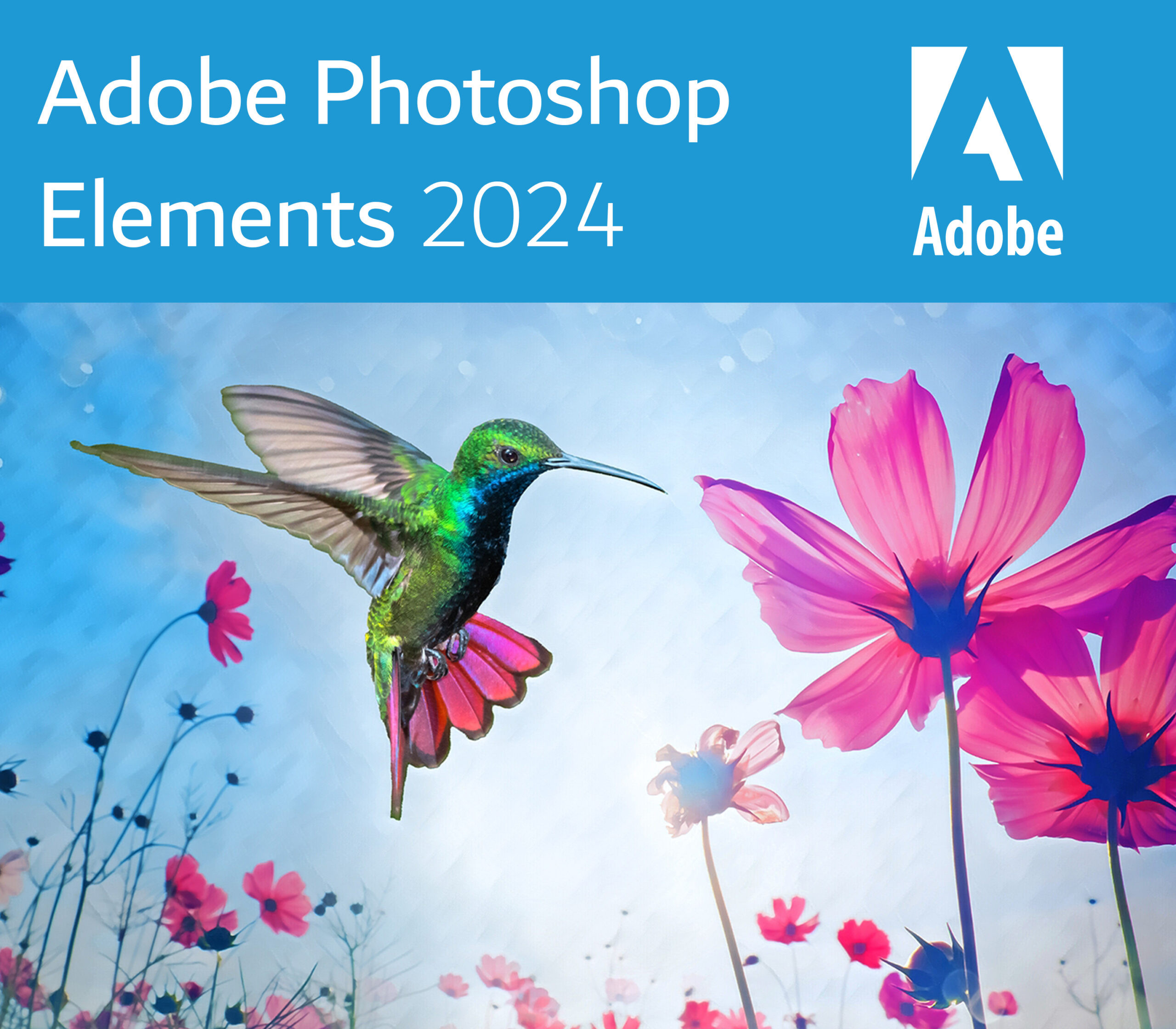 Adobe Photoshop Elements 2024 for Windows CD Key screenshot 2