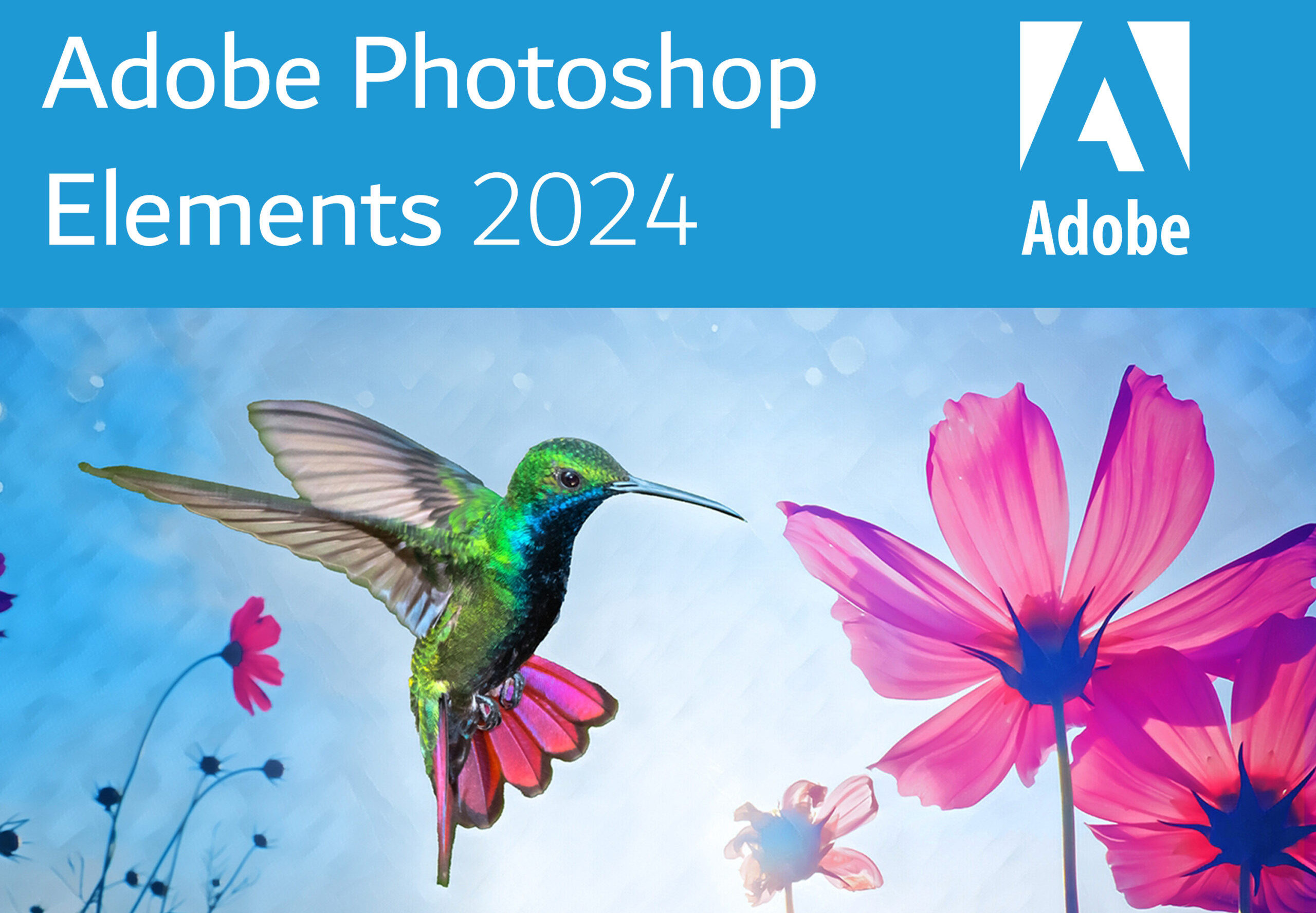 

Adobe Photoshop Elements 2024 (Lifetime / 1 MAC)