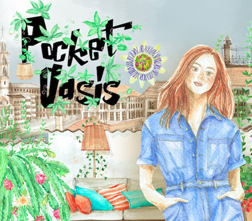 Pocket Oasis PC Steam