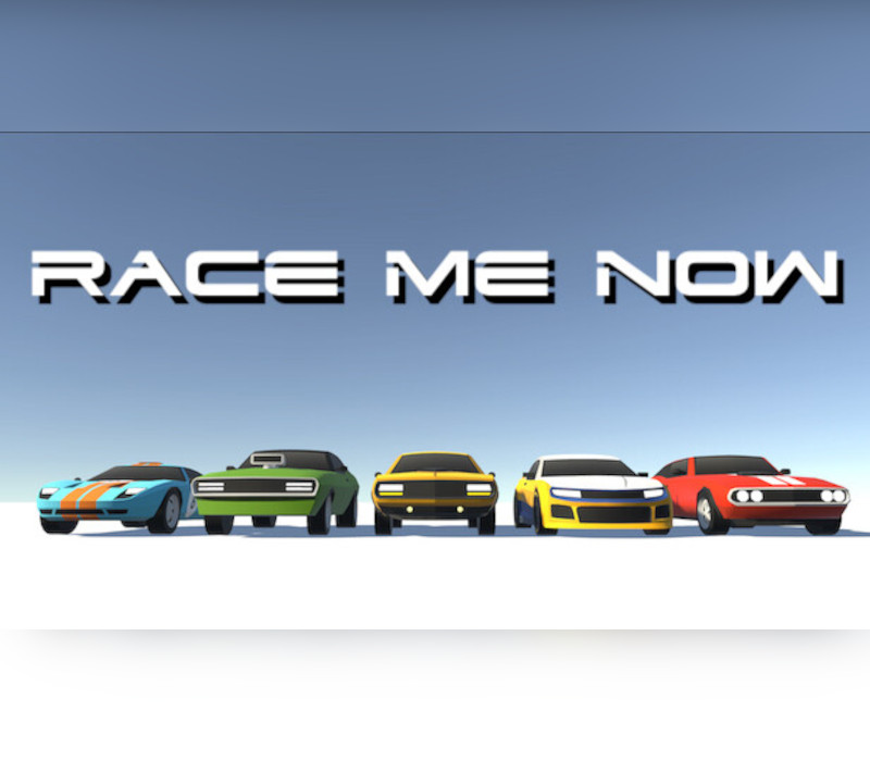 

Race me now Steam CD Key