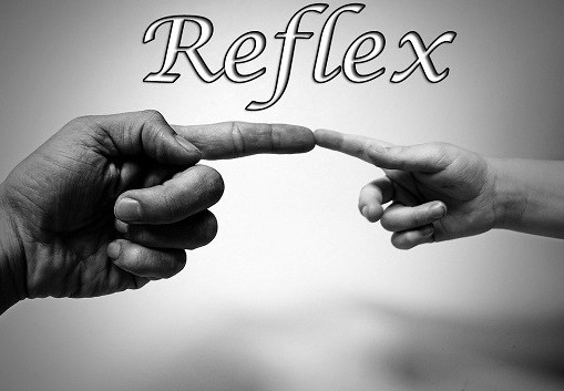 Reflex Steam CD Key screenshot 1