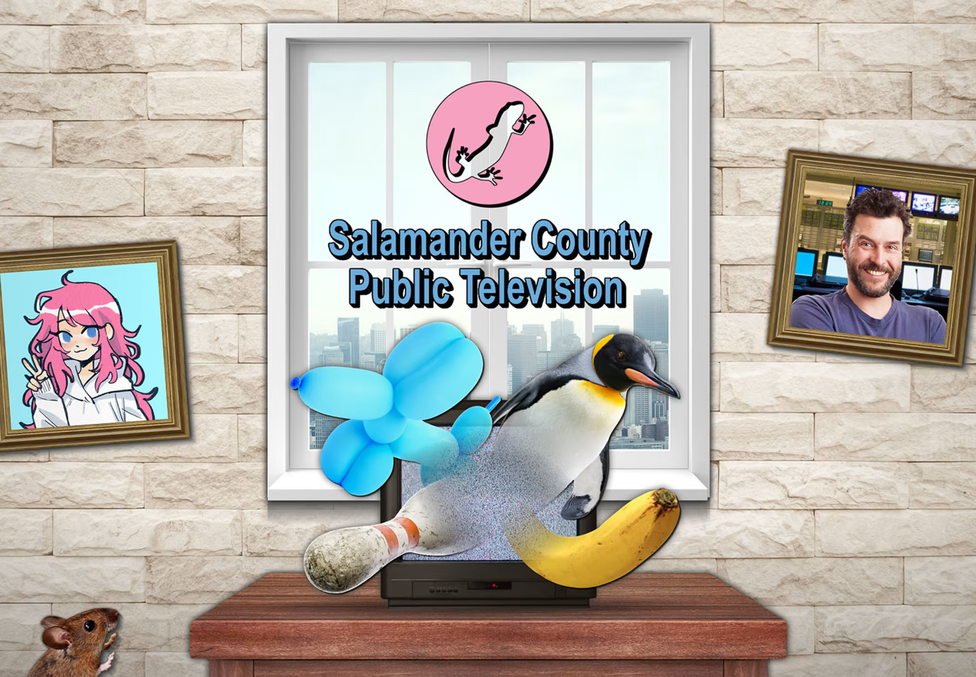 Salamander County Public Television Steam CD Key