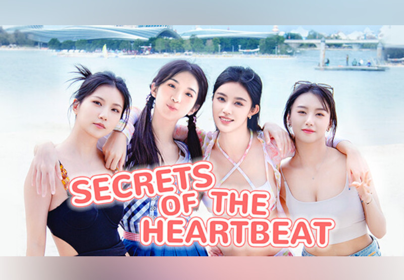 Secrets of the Heartbeat PC Steam CD Key