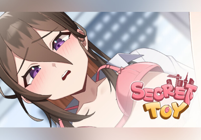 Secret Toy PC Steam CD Key screenshot 1