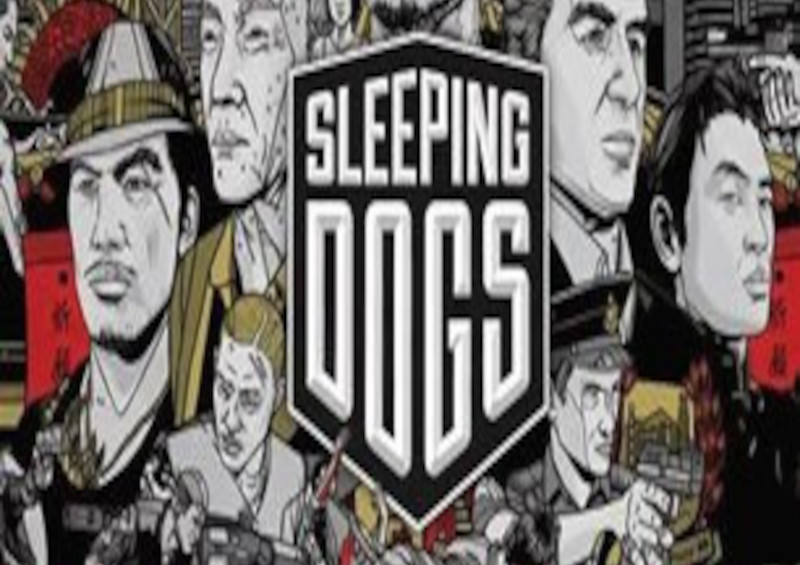 Sleeping Dogs DE Steam CD Key