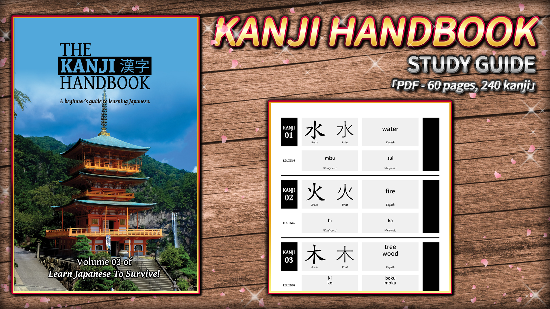The Learn Japanese To Survive! Kanji Combat Study Pack Steam CD Key