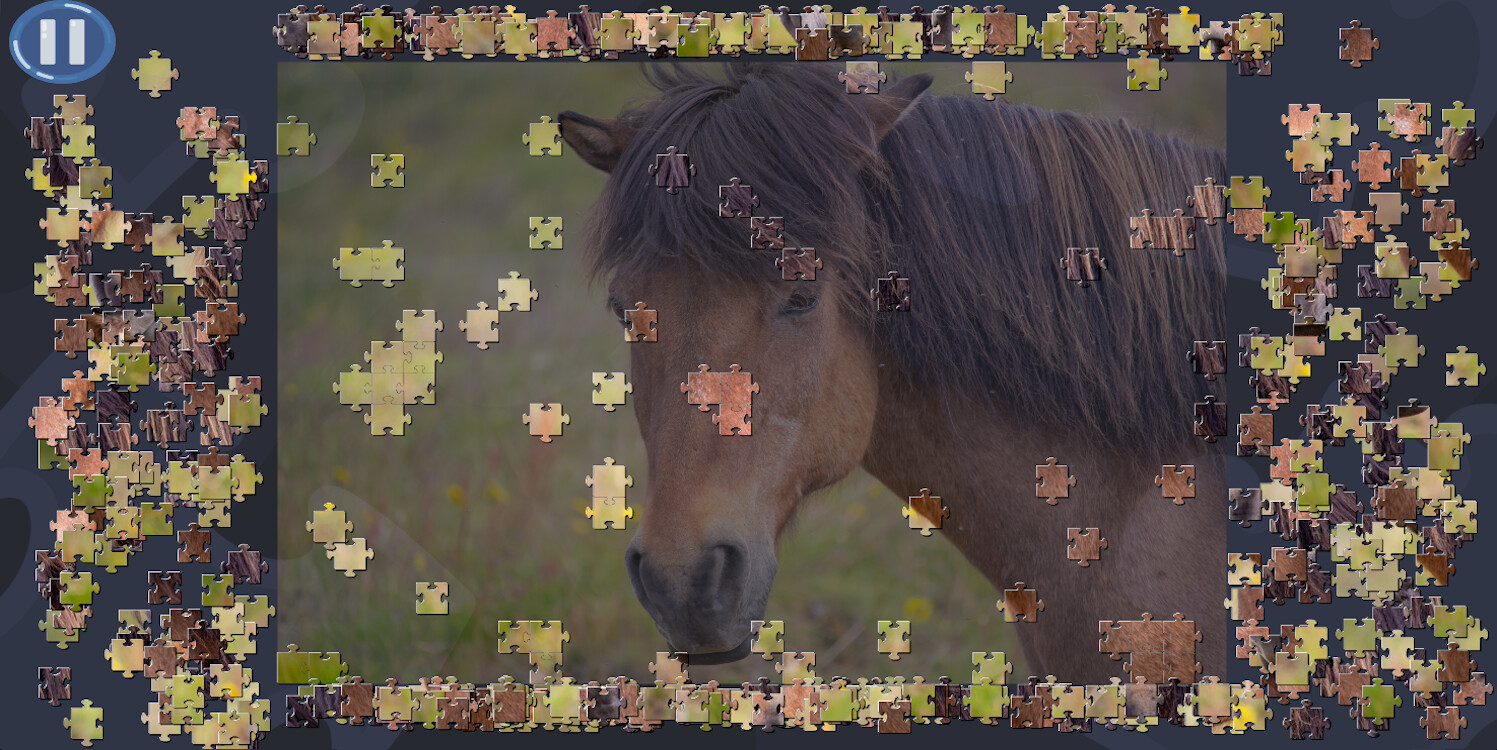 Virtual Jigsaw Puzzles - Animals PC Steam