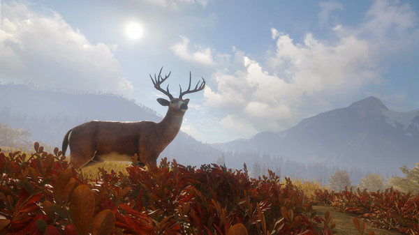 TheHunter: Call Of The Wild - Seasoned Hunter Bundle Steam Account