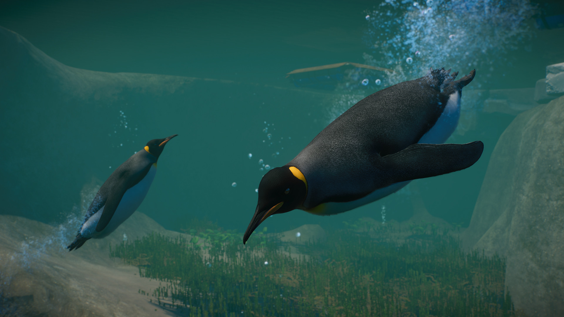 Planet Zoo + Aquatic + Arctic + North America Animal DLCs EU Steam CD Key