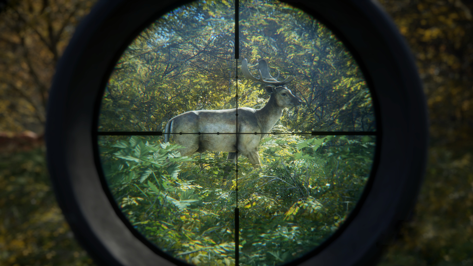 TheHunter: Call Of The Wild 2023 Complete Collection Steam Account