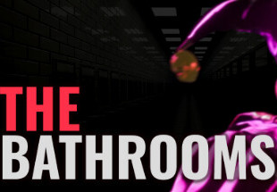 The Bathrooms PC Steam CD Key screenshot 2