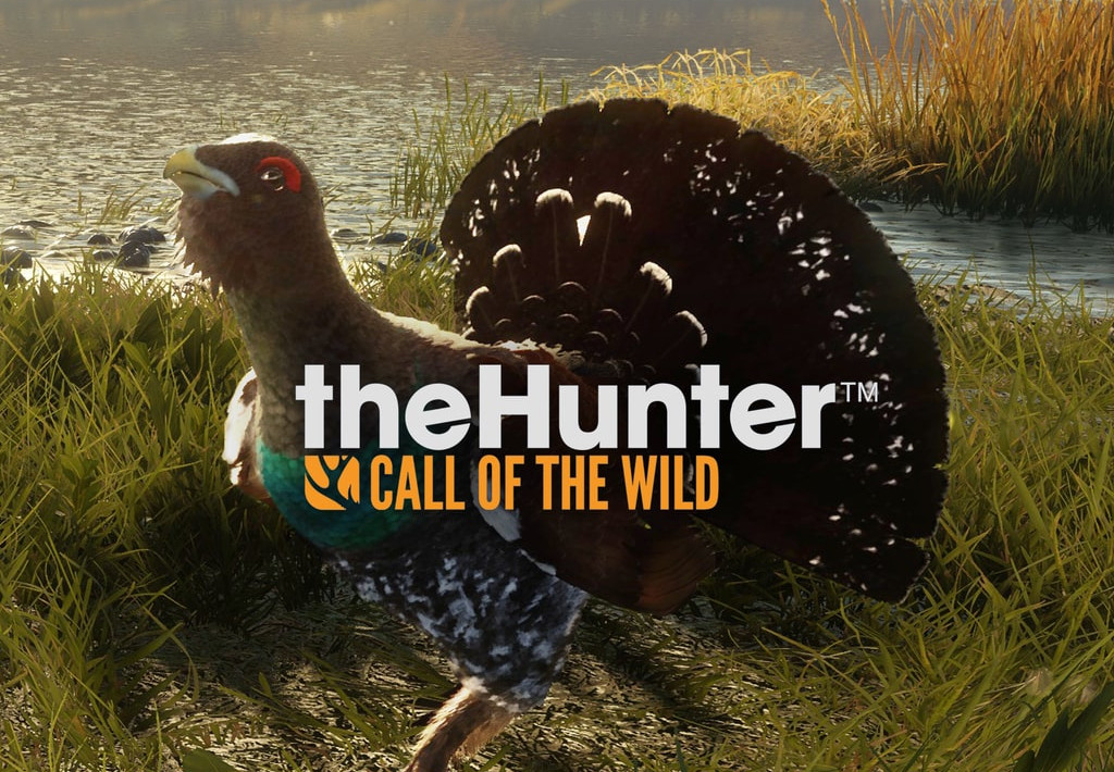 TheHunter: Call Of The Wild - Revontuli Coast DLC Steam CD Key