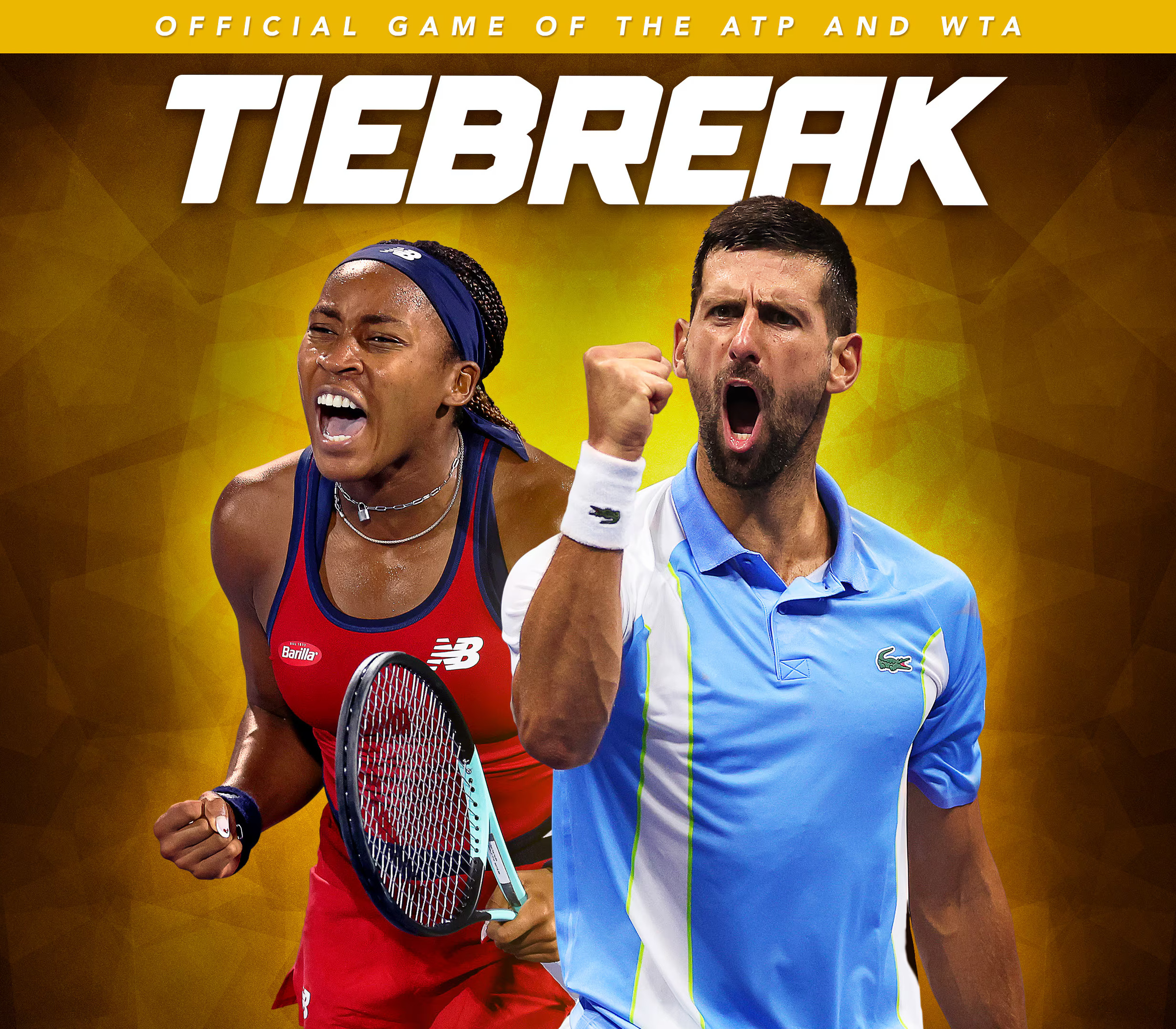 

TIEBREAK: Official game of the ATP and WTA PC Steam Account