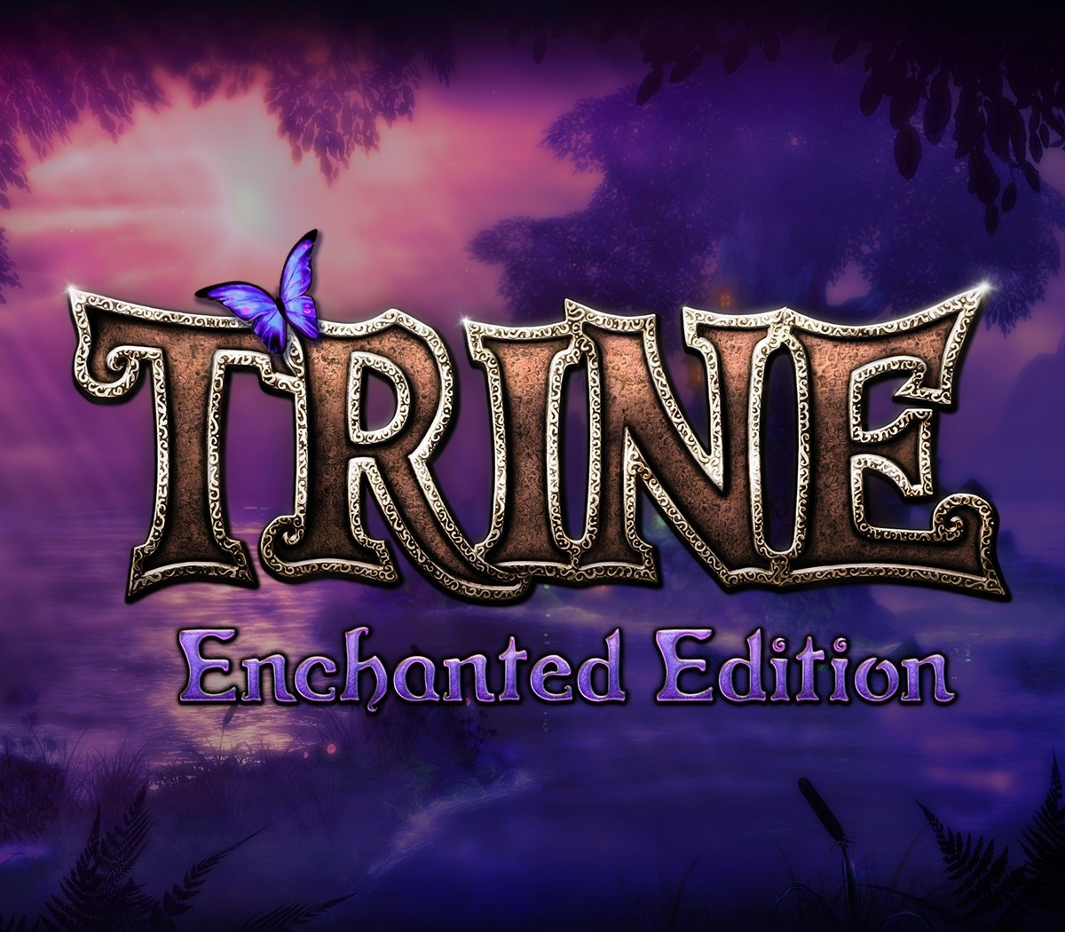 

Trine Enchanted Edition EU Steam CD Key