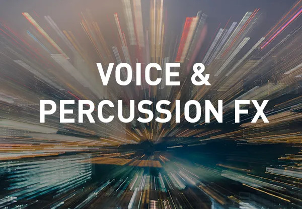 MAGIX Music Maker - Voice & Percussion FX Digital Download CD Key screenshot 1