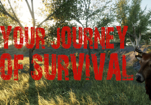 Your Journey Of Survival Steam CD Key